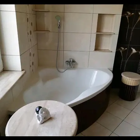 W Domu Z Kominkiem I Ogrodem